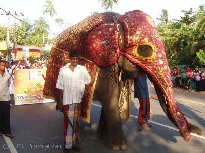 Dickwella Wesak Perahera